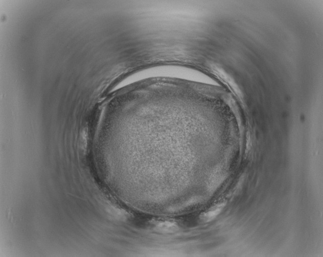 X0000088030113200705251126