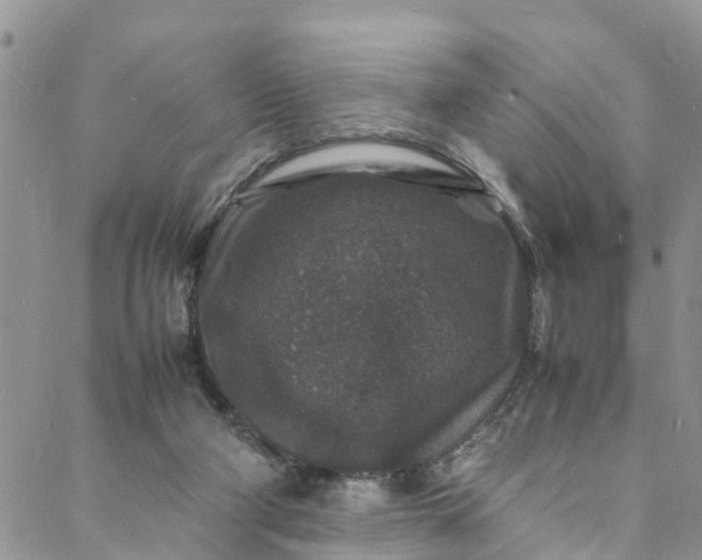 X0000088030114200705251126