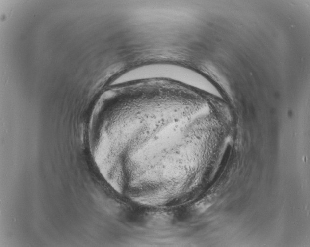 X0000088030115200705251126