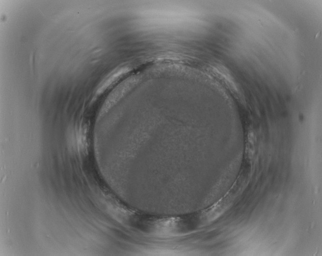 X0000088030116200705251126