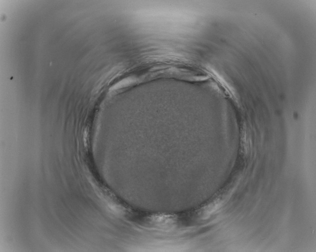 X0000088030117200705251126