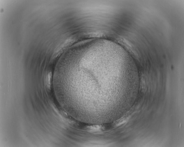 X0000088030118200705251126