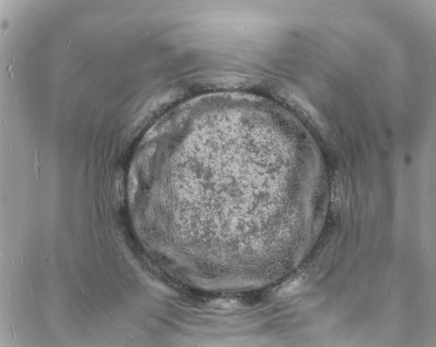 X0000088030119200705251126