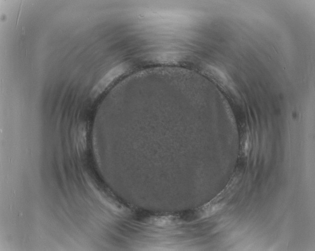 X0000088030120200705251126