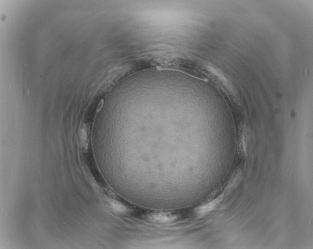 X0000088030121200705251126