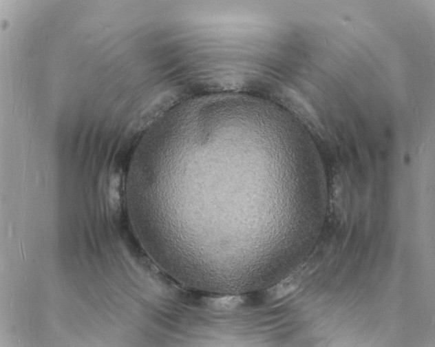 X0000088030122200705251126