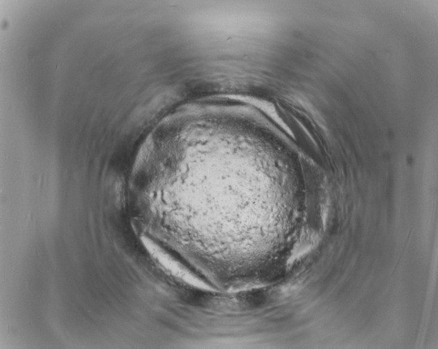 X0000088030123200705251126