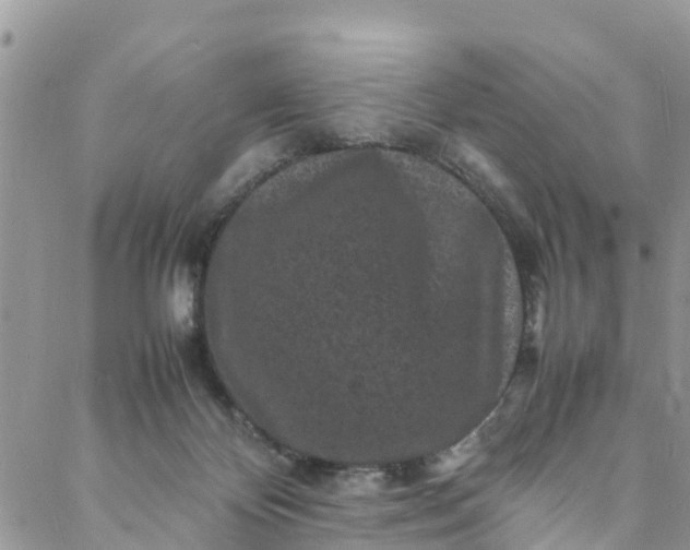 X0000088030124200705251126