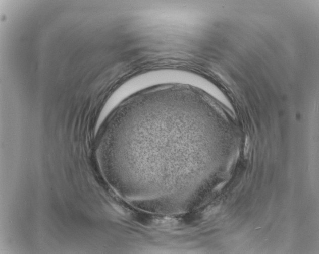 X0000088030125200705251126