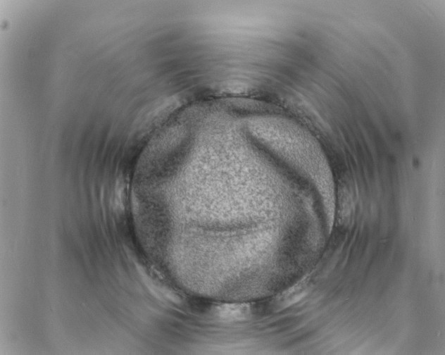 X0000088030126200705251126