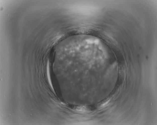 X0000088030127200705251126