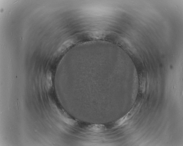 X0000088030128200705251126