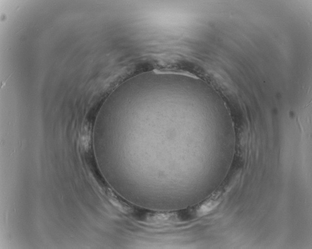 X0000088030129200705251126