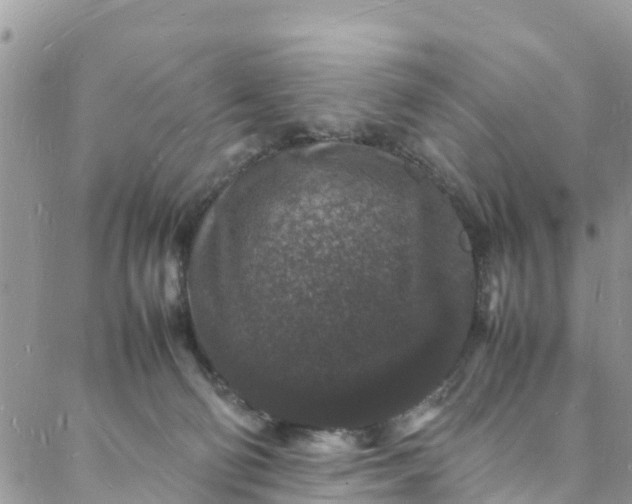 X0000088030130200705251126