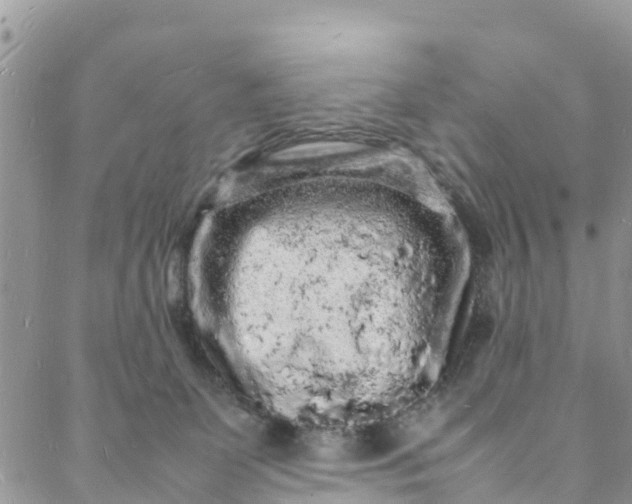 X0000088030131200705251126