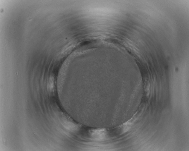 X0000088030132200705251126