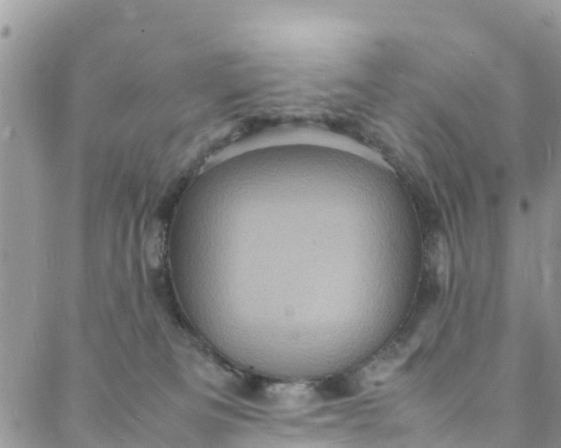 X0000088030133200705251126