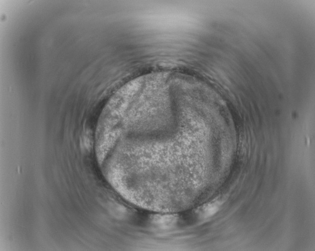 X0000088030135200705251126