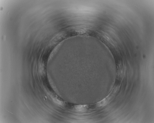 X0000088030136200705251126