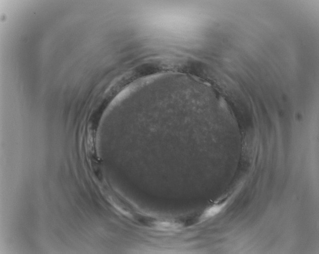 X0000088030137200705251126