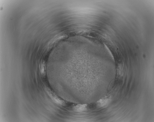 X0000088030138200705251126