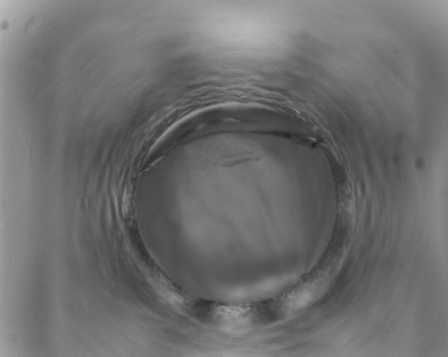 X0000088030139200705251126