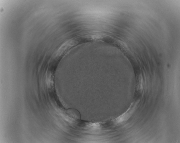 X0000088030140200705251126