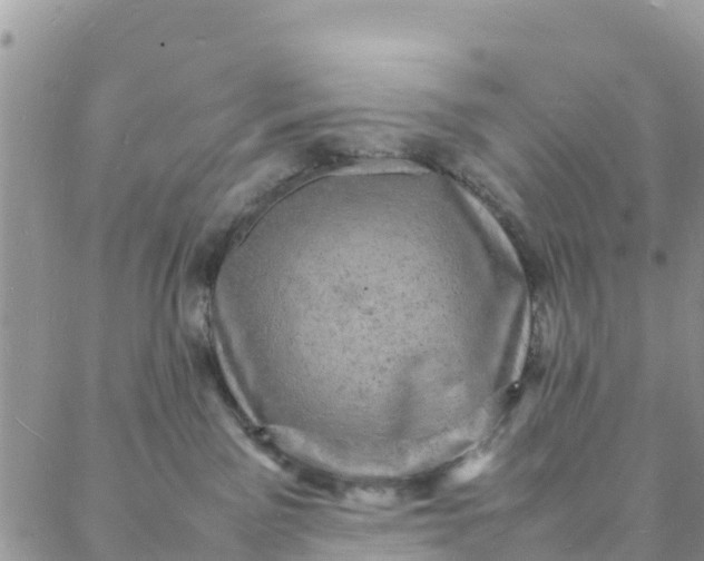 X0000088030141200705251126