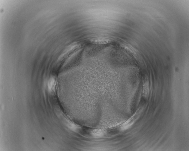 X0000088030142200705251126