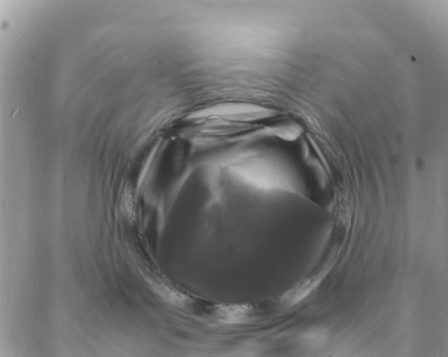 X0000088030143200705251126