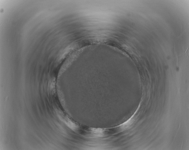 X0000088030144200705251126