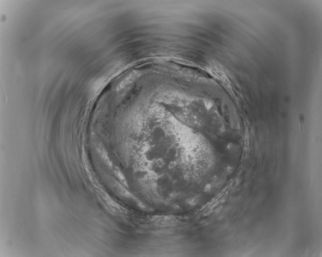 X0000088030145200705251125