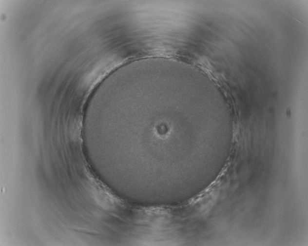 X0000088030146200705251125