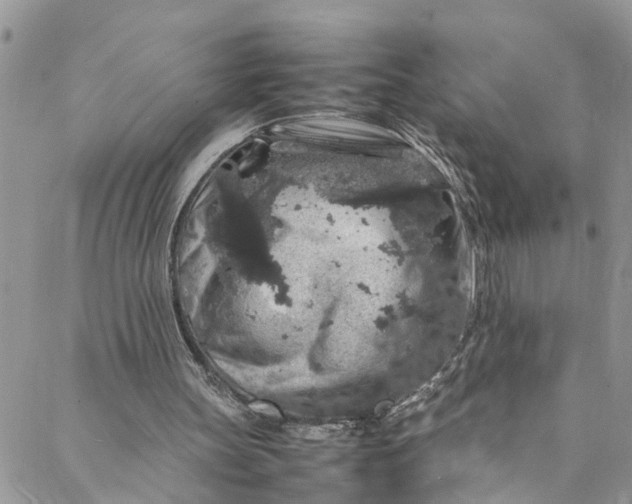 X0000088030147200705251125