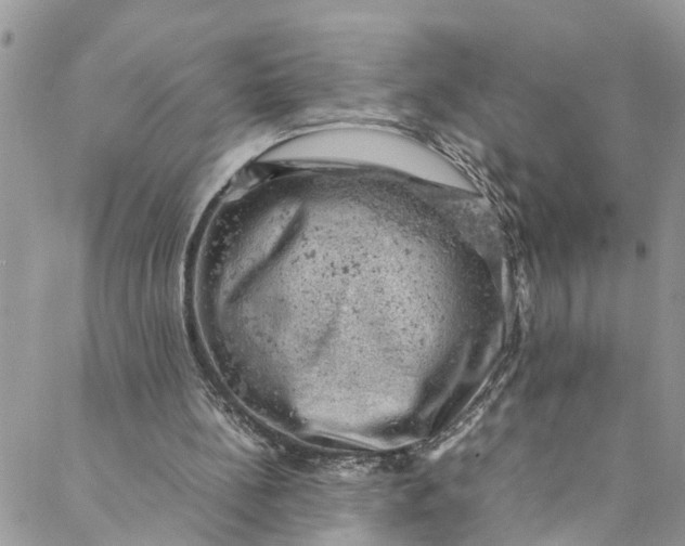 X0000088030148200705251125