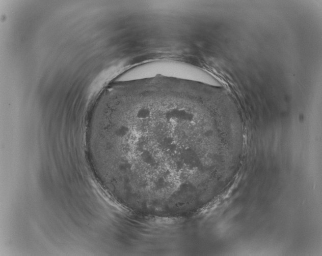 X0000088030149200705251125