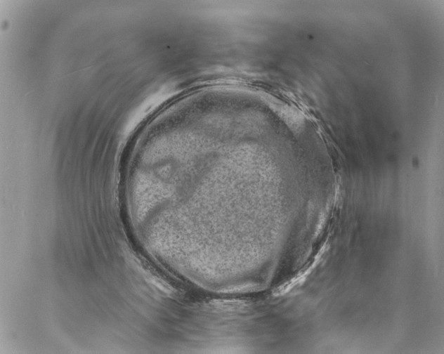 X0000088030150200705251125