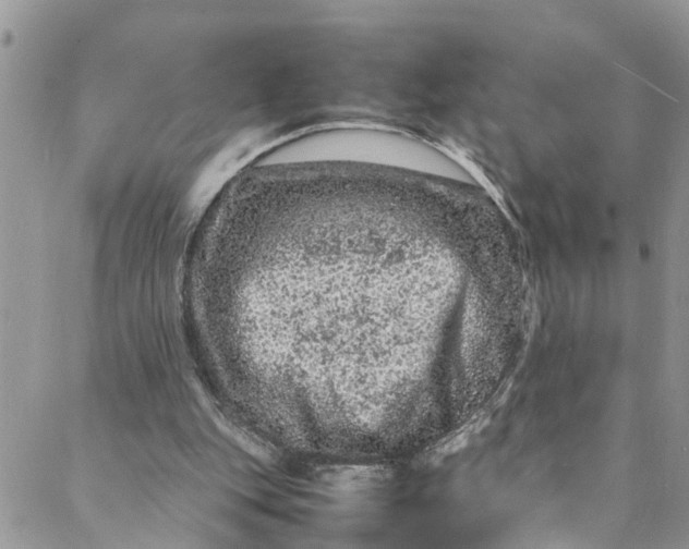 X0000088030151200705251125