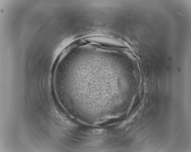 X0000088030152200705251125