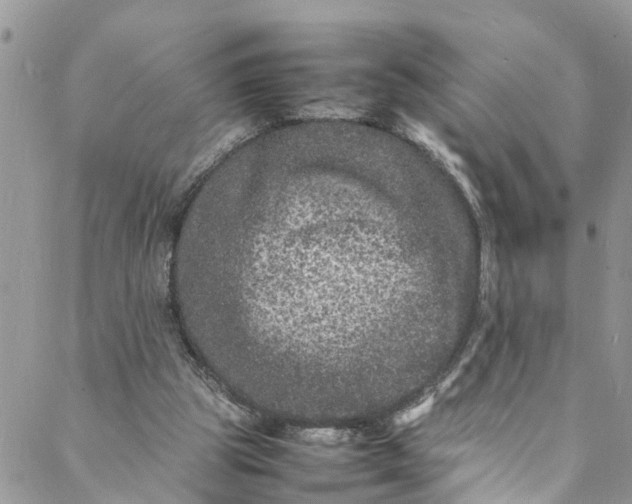 X0000088030153200705251125