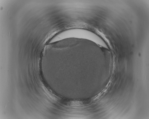 X0000088030154200705251125