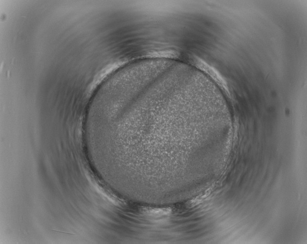 X0000088030155200705251125