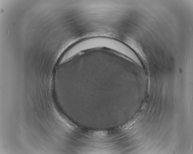 X0000088030156200705251125