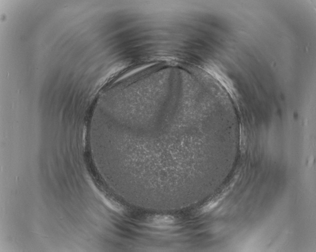 X0000088030157200705251125