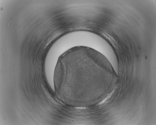 X0000088030158200705251125