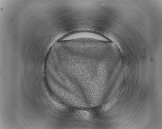 X0000088030159200705251125