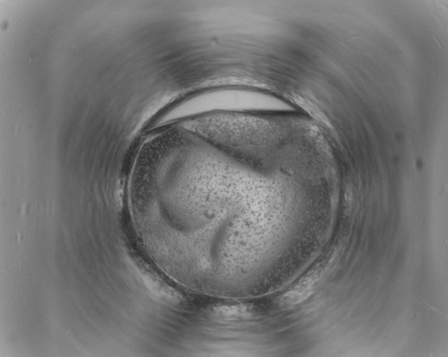 X0000088030160200705251125