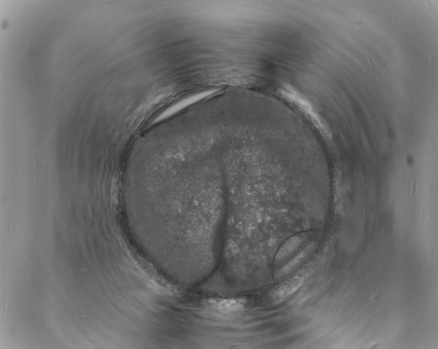 X0000088030161200705251125