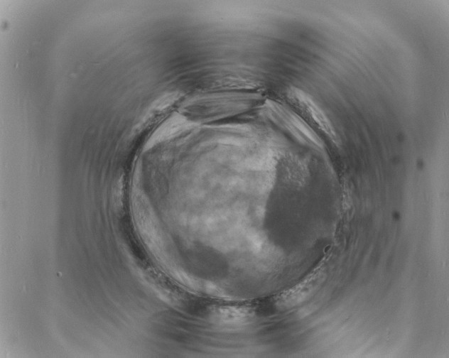 X0000088030163200705251125