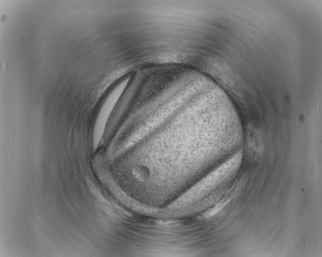 X0000088030164200705251125